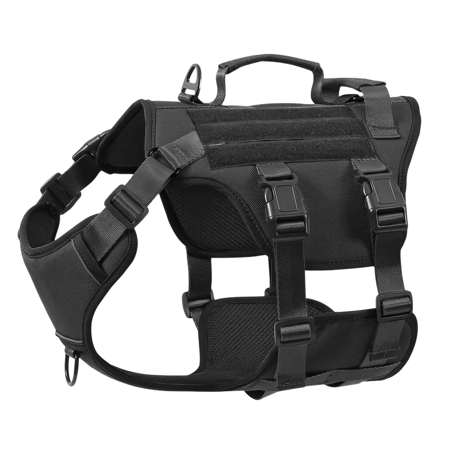 Harnesses